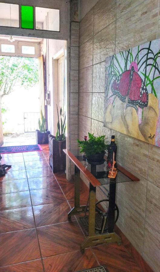 Hst Atelie Marli Marques Apartment Pelotas Exterior photo